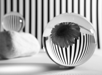 Rendering Services