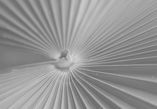 Rendering Service