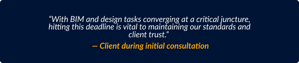 Client during initial consultation